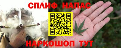 сатива Кунгур