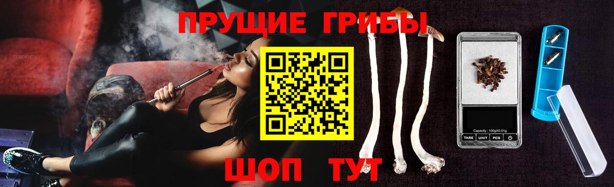 купить наркоту  Вход с VPN  Казань  Галлюциногенные грибы Psilocybe 